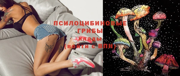 гидра Абинск
