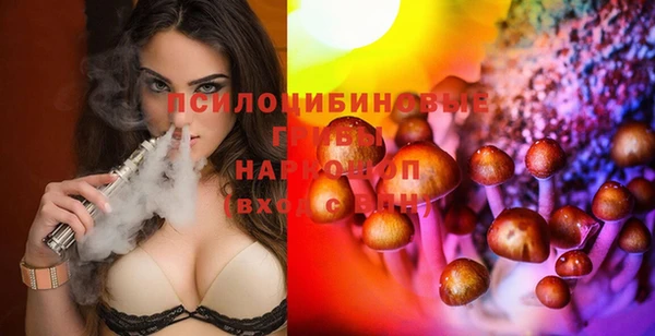 гидра Абинск