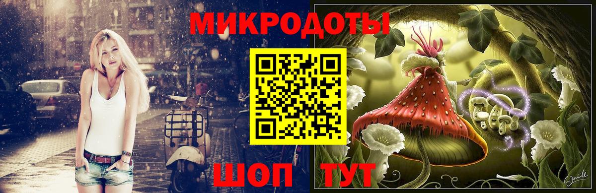 Фрязино  Псилоцибиновые грибы мицелий  Вход с VPN  Псилоцибиновые грибы прущие грибы 