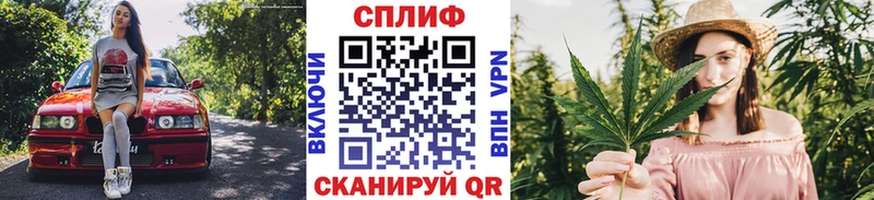 площадка какой сайт  Фрязино  Бошки марихуана Ganja  наркошоп 